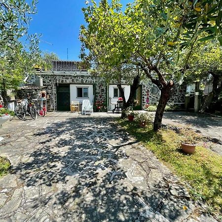 Rosy Apartment - Levanto, 5 Terre Zewnętrze zdjęcie