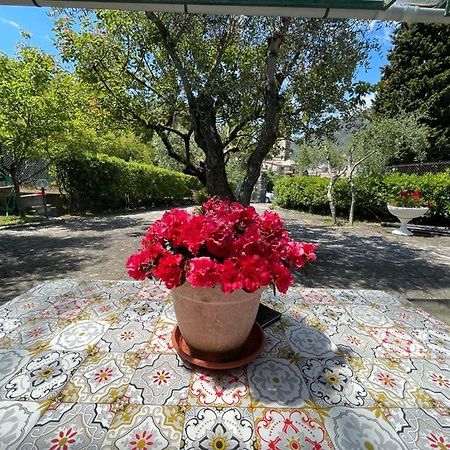 Rosy Apartment - Levanto, 5 Terre Zewnętrze zdjęcie