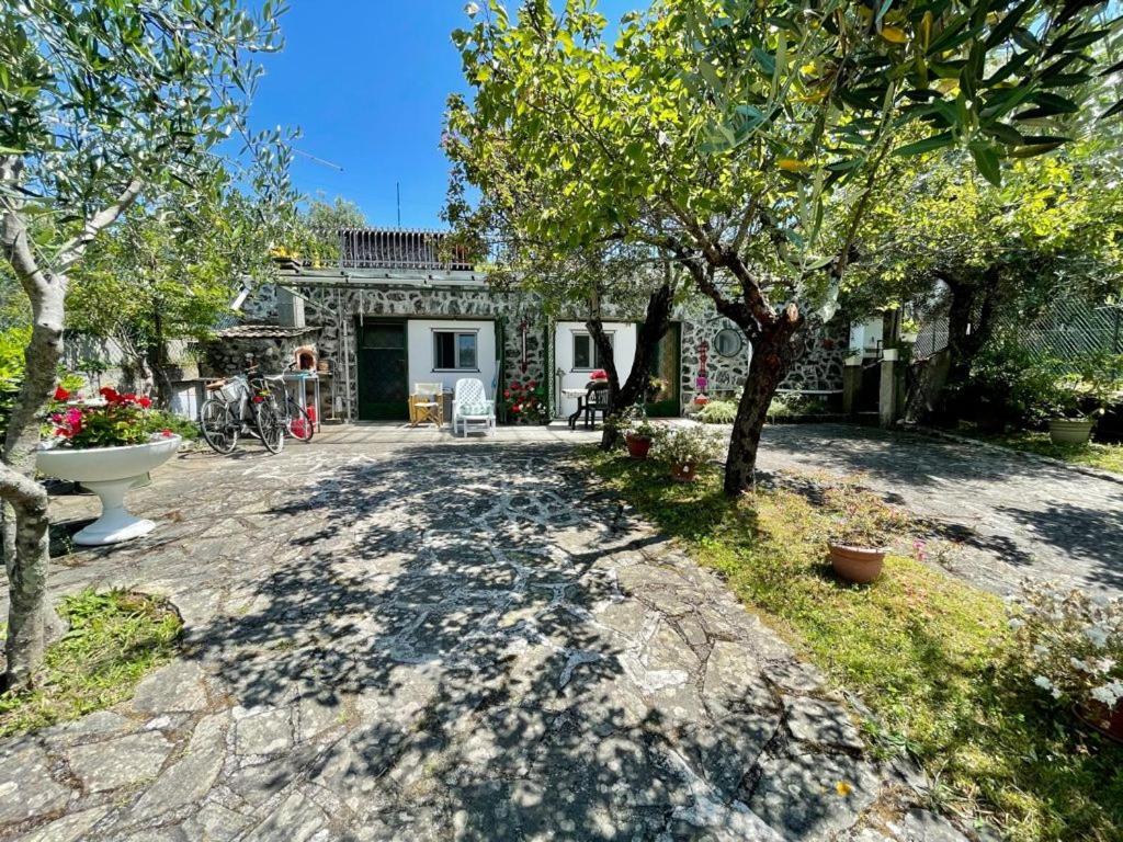 Rosy Apartment - Levanto, 5 Terre Zewnętrze zdjęcie