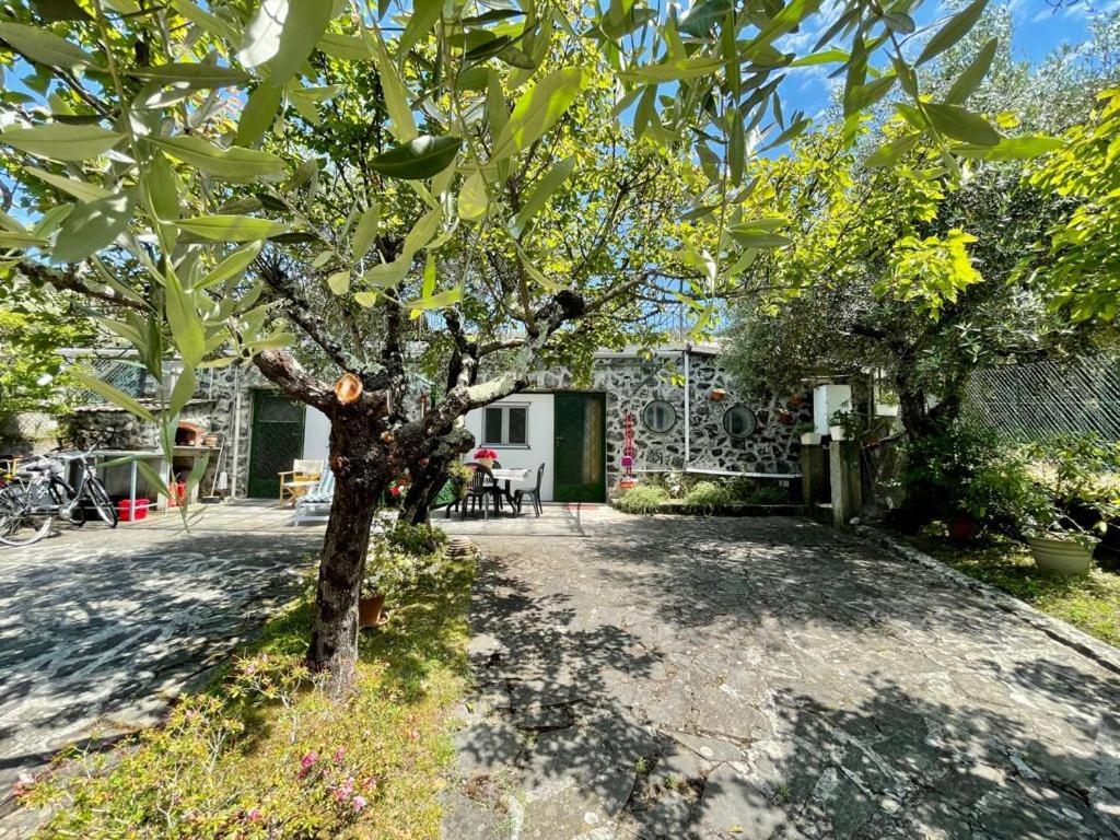 Rosy Apartment - Levanto, 5 Terre Zewnętrze zdjęcie