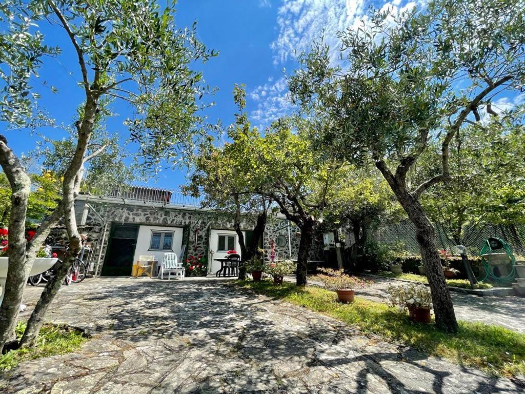 Rosy Apartment - Levanto, 5 Terre Zewnętrze zdjęcie